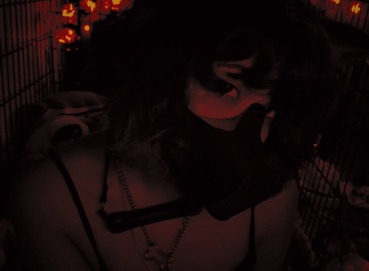 pretti.pup tweet media