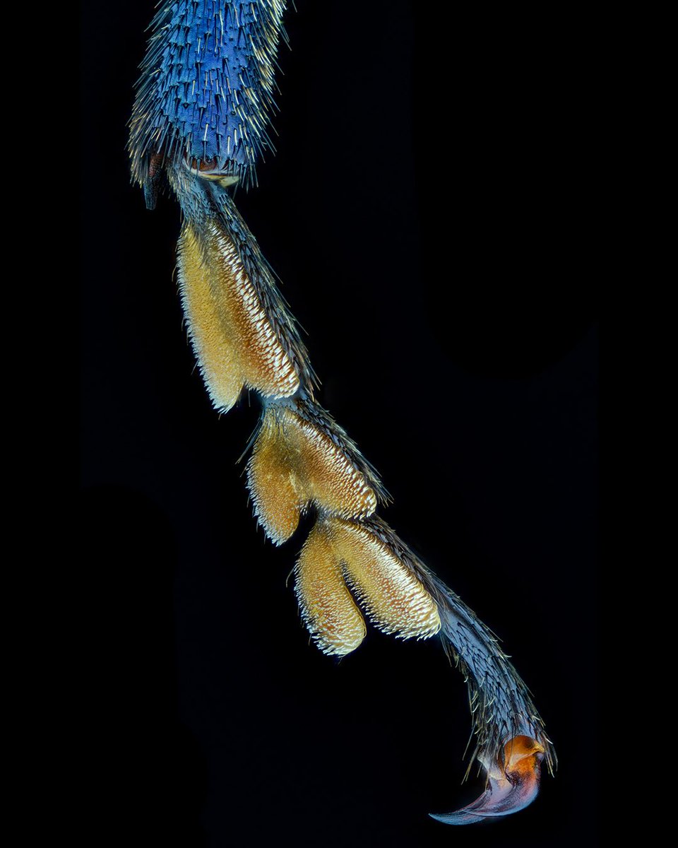 Thorben Danke tweet media