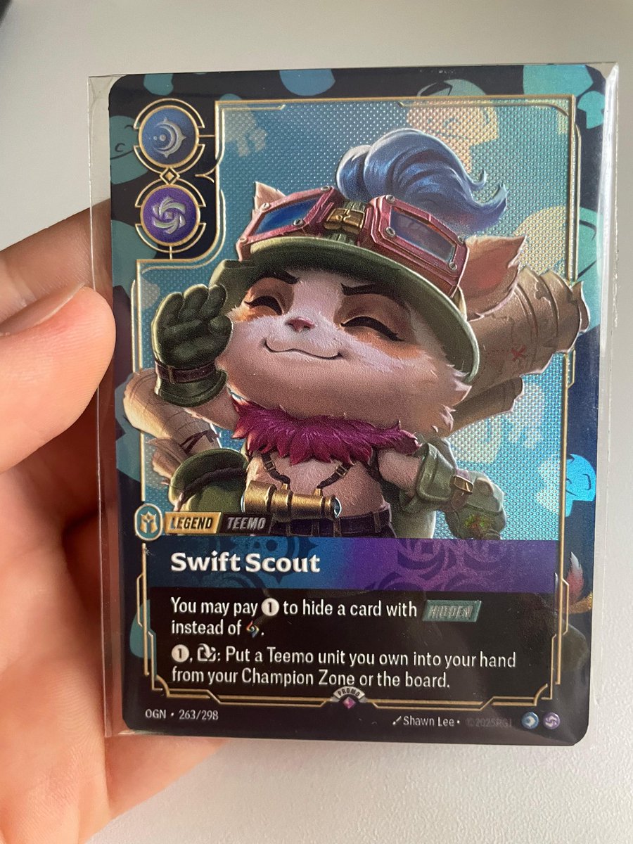 Joe Curley tweet media