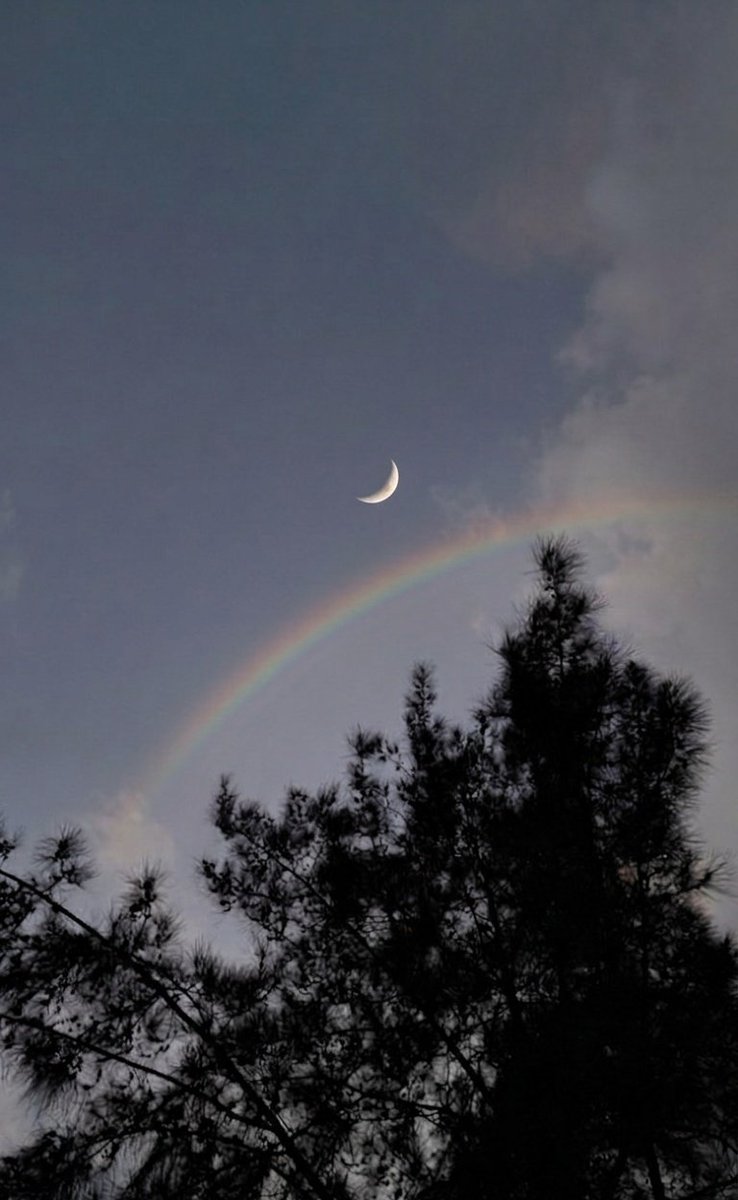 تَرتِـيلا الغاضبة. 😡🐢 tweet media