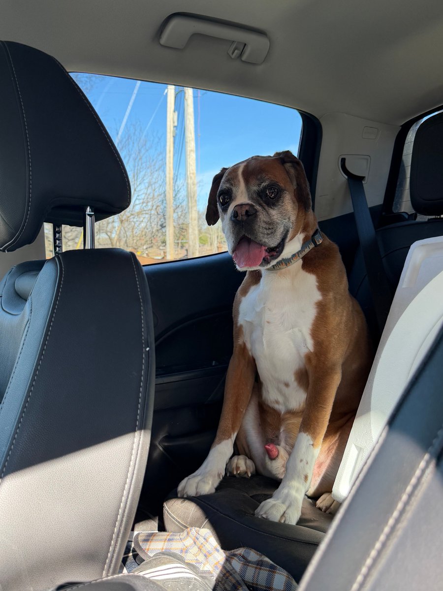 Crypto_Mountain_Biker_MD tweet media