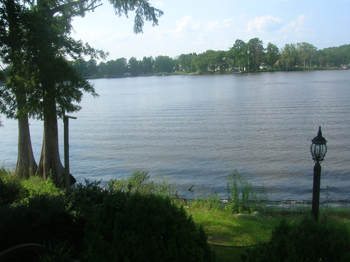 ⛤☃️Stone🎃Rhino🏮#NaNo☕ tweet media