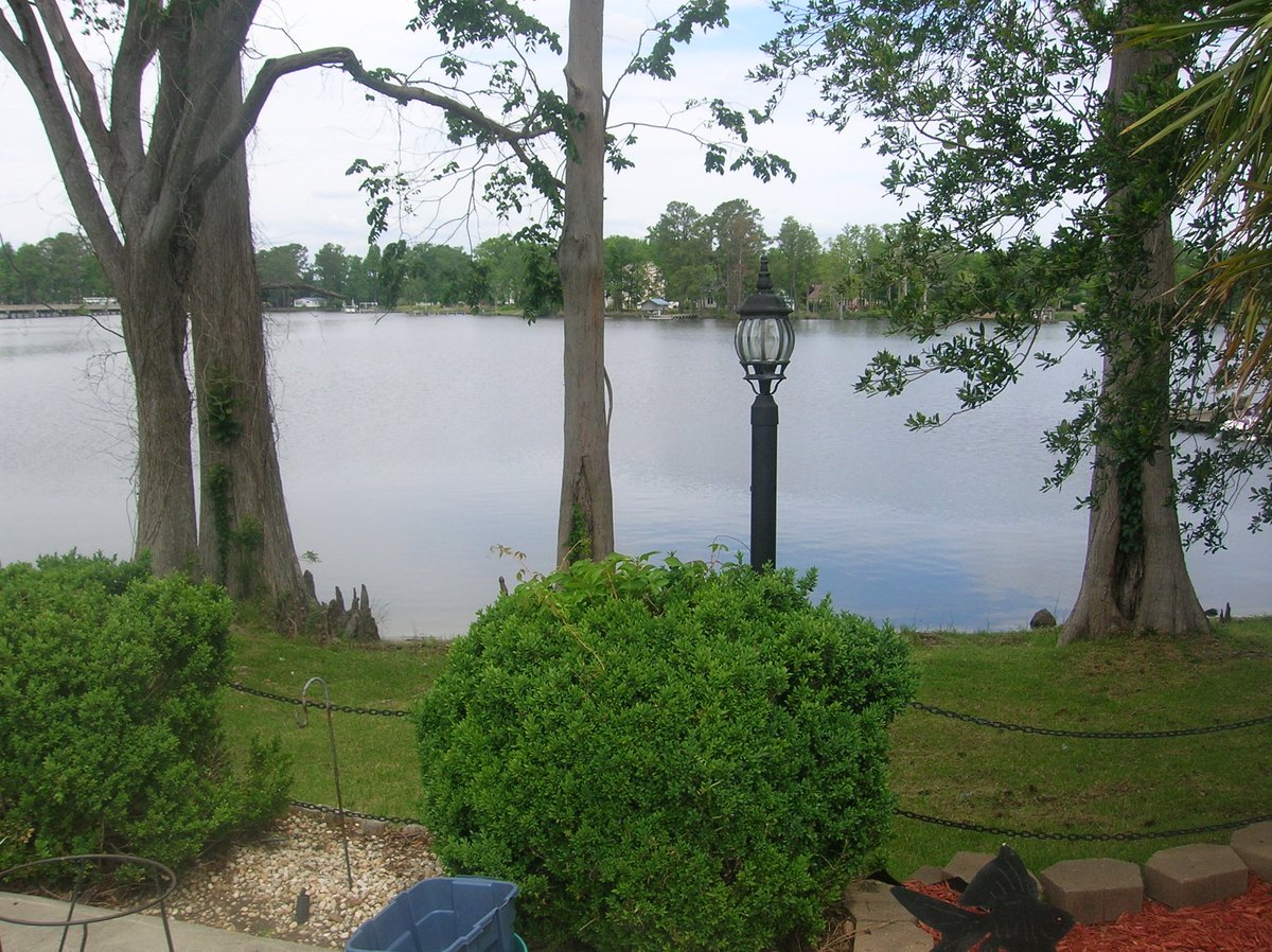 ⛤☃️Stone🎃Rhino🏮#NaNo☕ tweet media