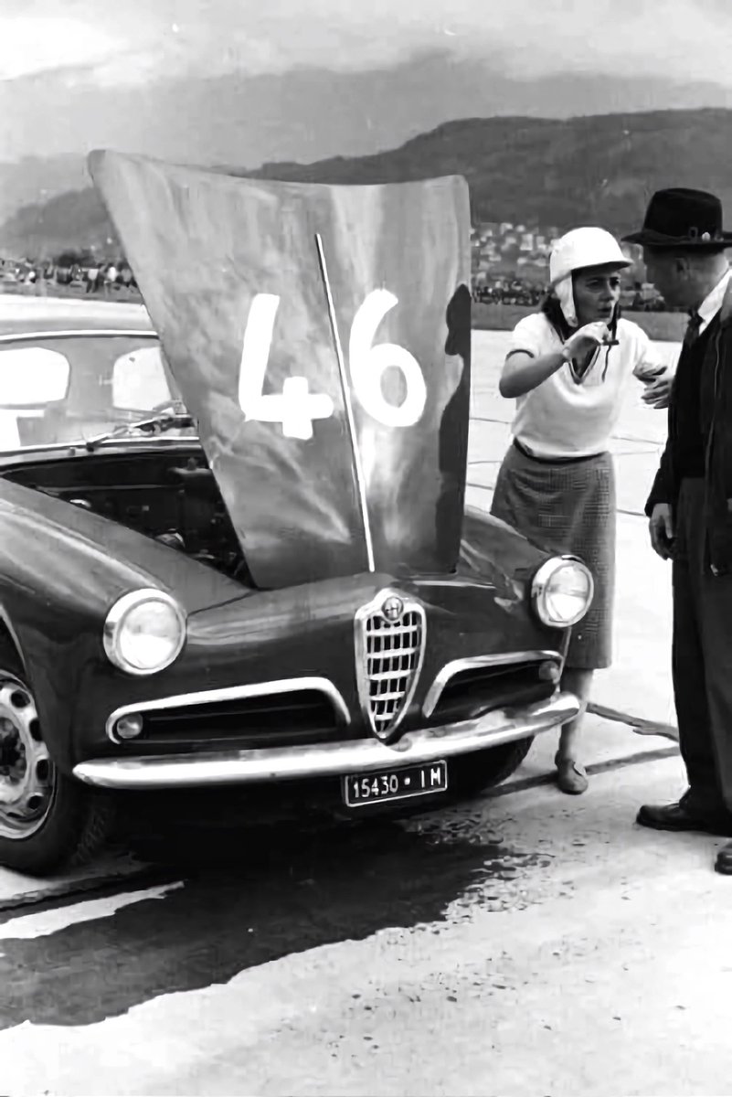 Conifera tweet media