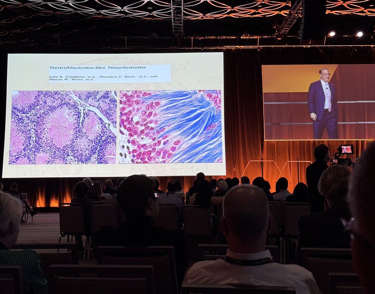 Anna Savin tweet media