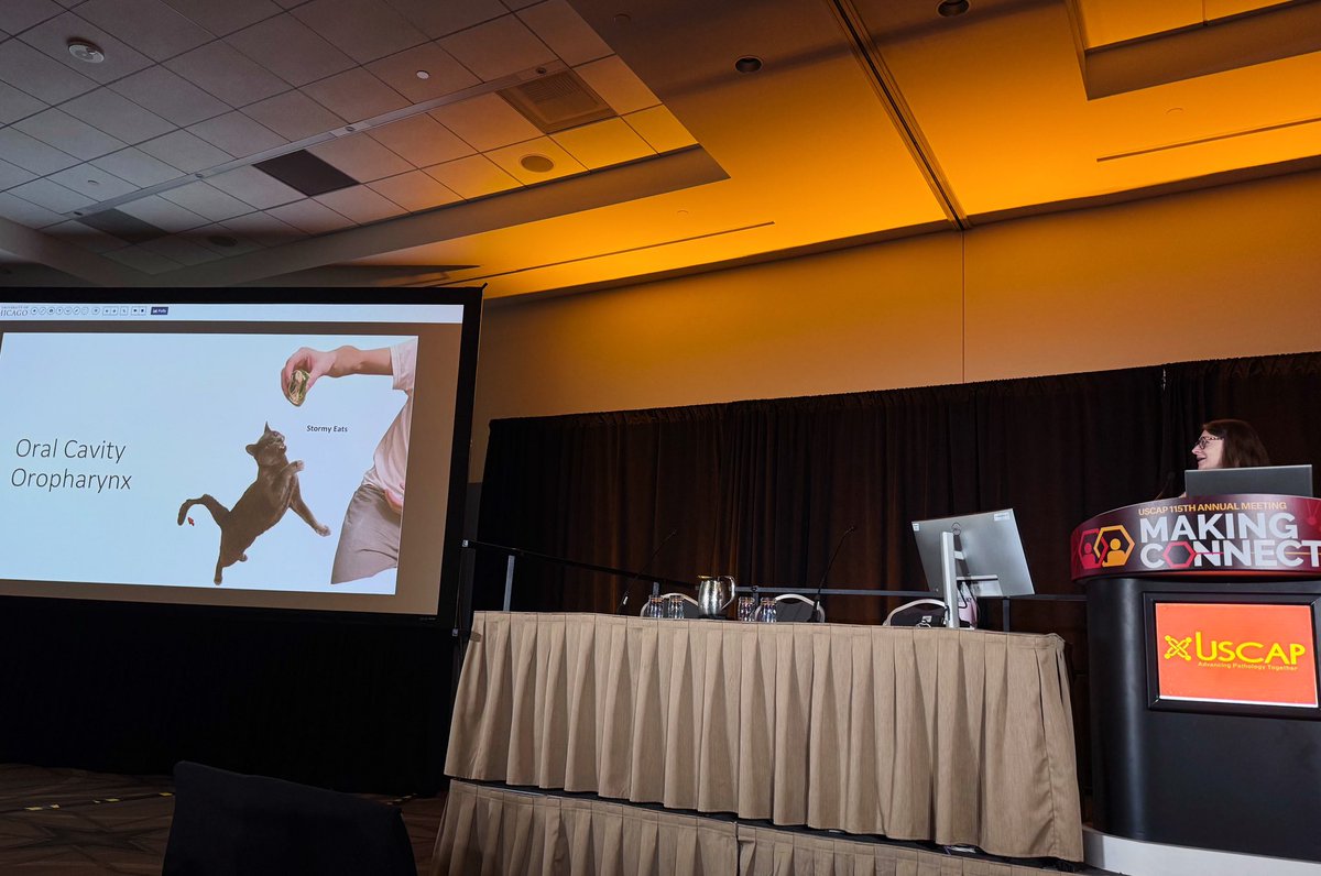 Anna Savin tweet media