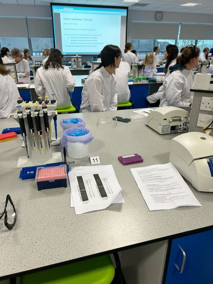 مشاريع تخرج بحث ماجستير رسائل دكتوراه بحوث جامعية tweet media