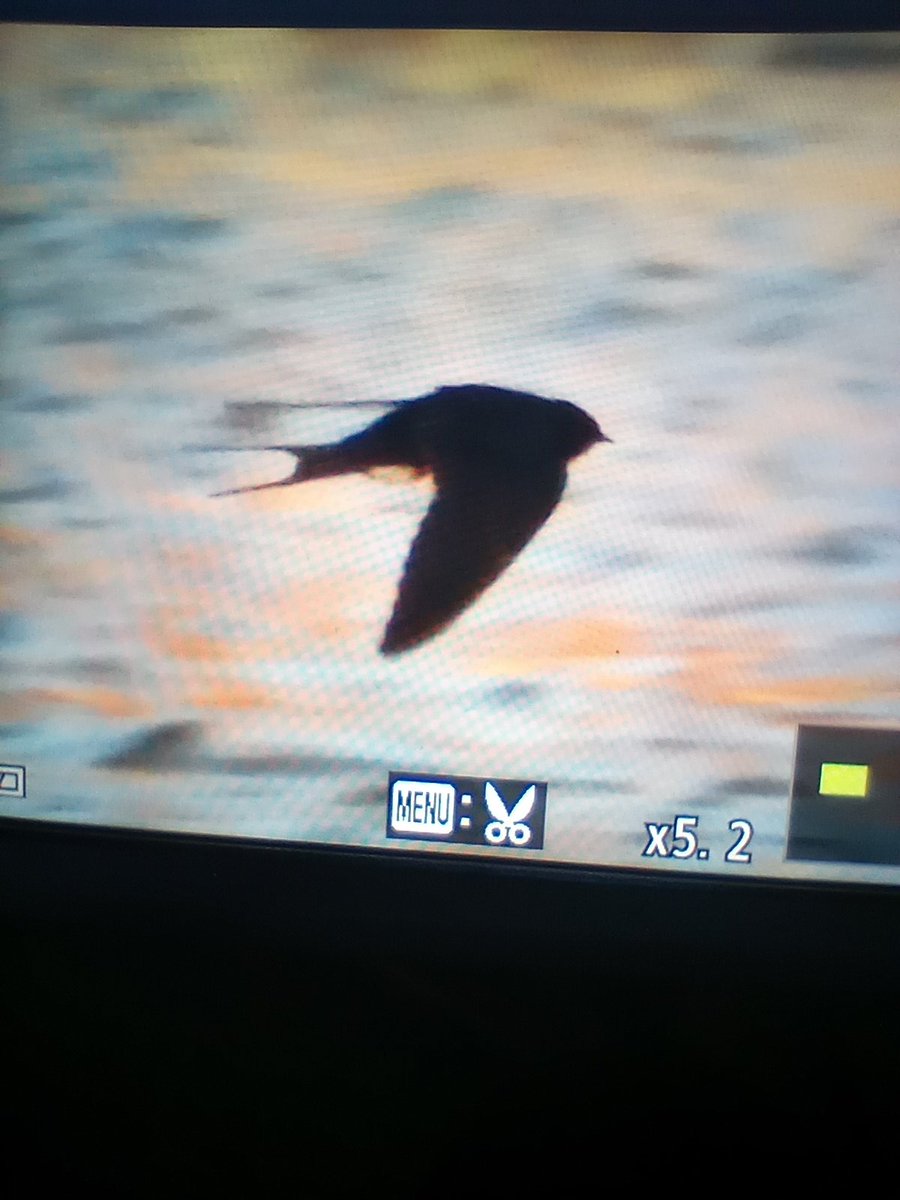 WychVille tweet media