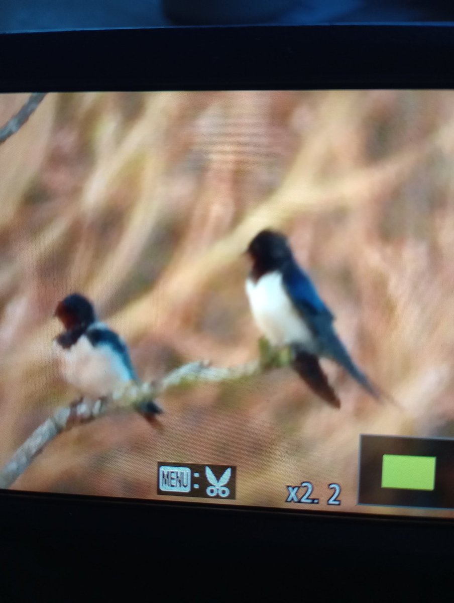 WychVille tweet media