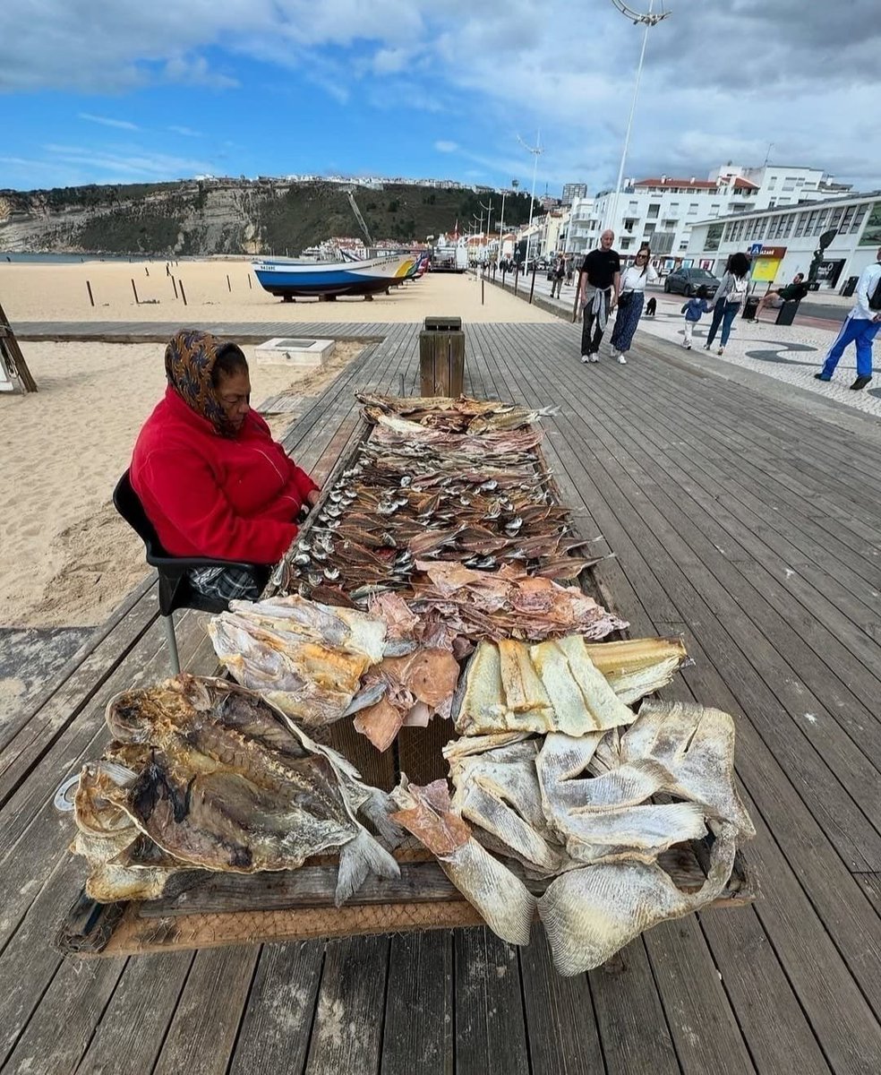 IES CIUDAD JARDÍN (Badajoz) tweet media