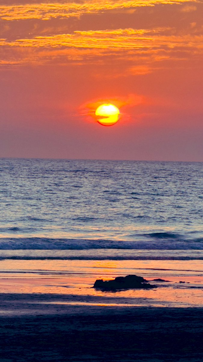 Eva Maria tweet media