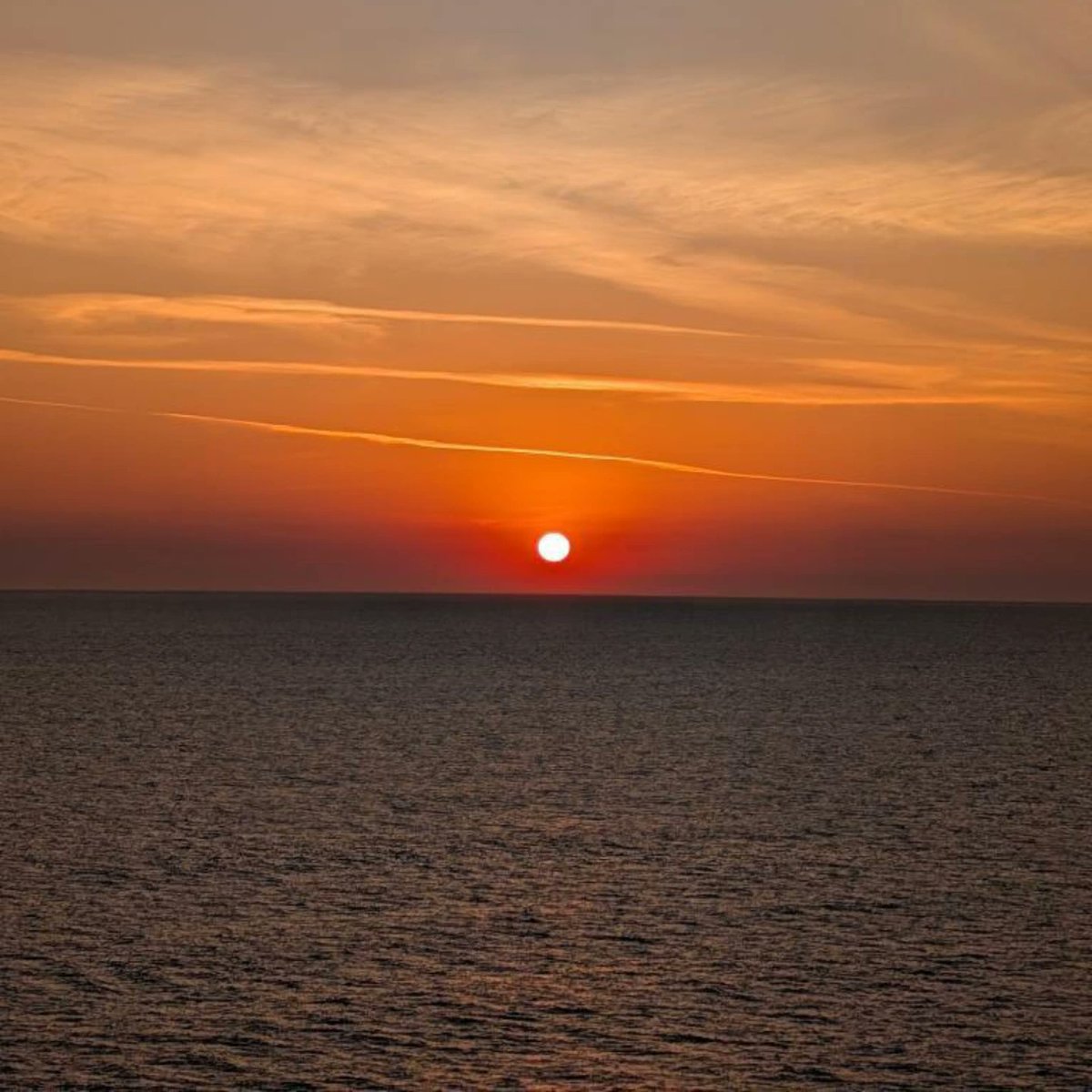 ✨SOHAR✨ tweet media