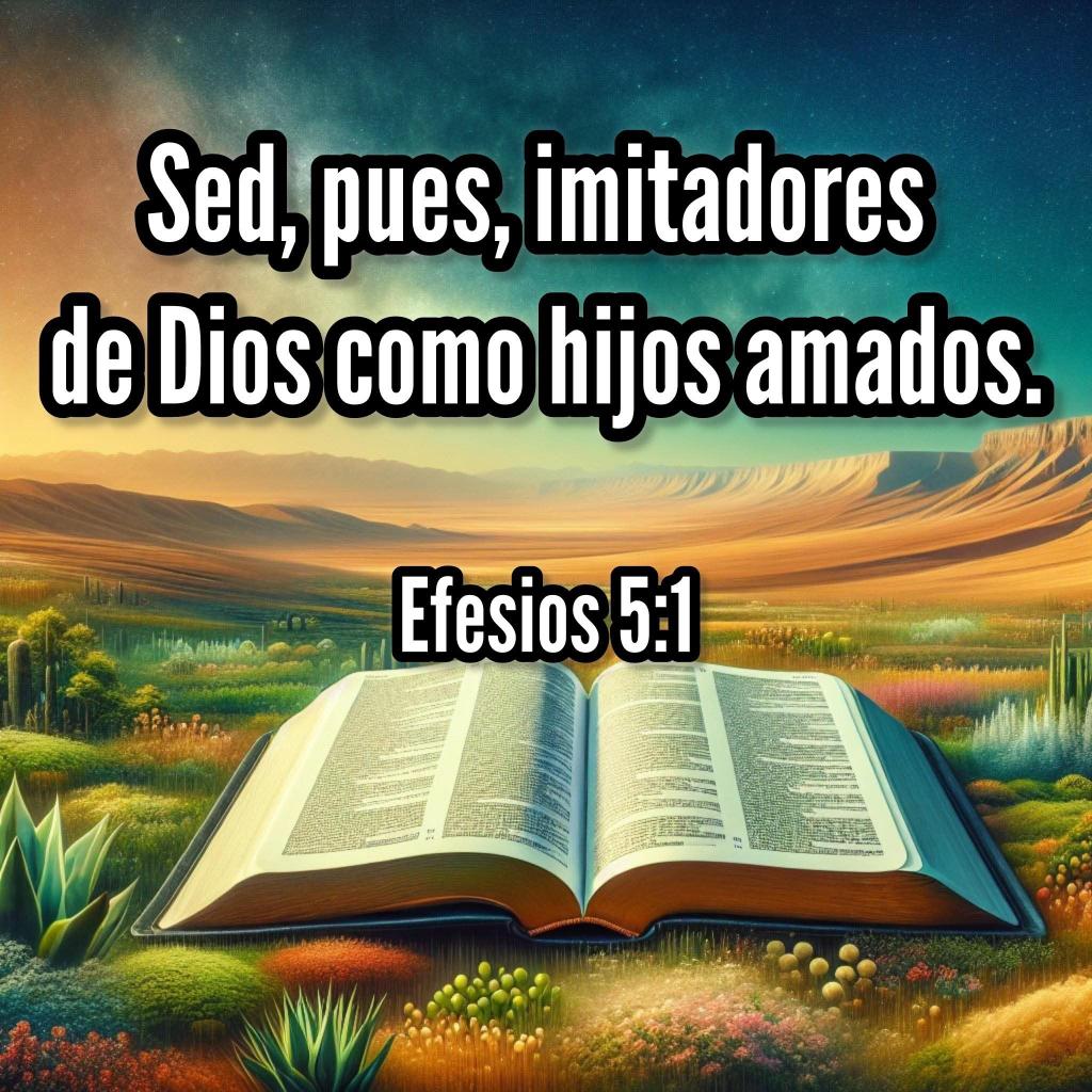 Marco Rodas™👑🇬🇹 tweet media