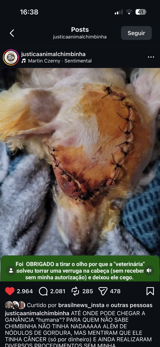 Calma só na bula tweet media