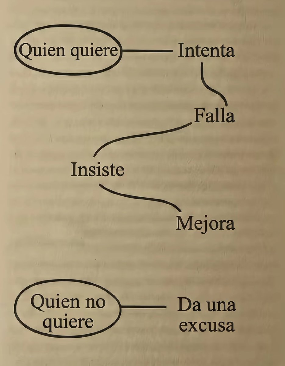 Andreita ❤️🩹 tweet media