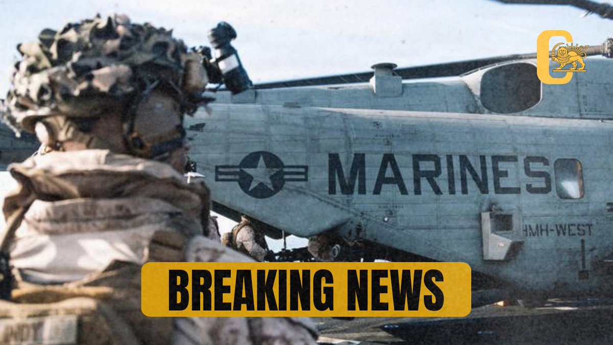 Cinama Rex tweet media