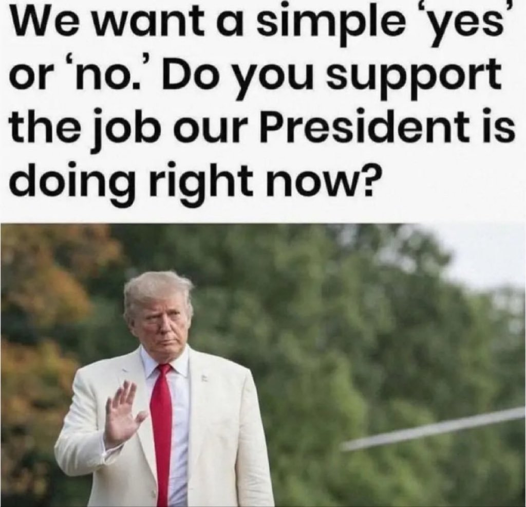 Anti Left Memes tweet media