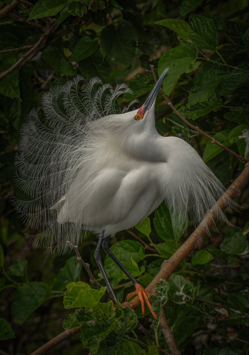 Daniel Riddle tweet media