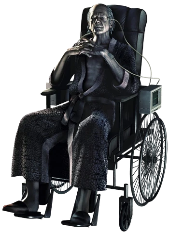 Shoebill Supremacist tweet media