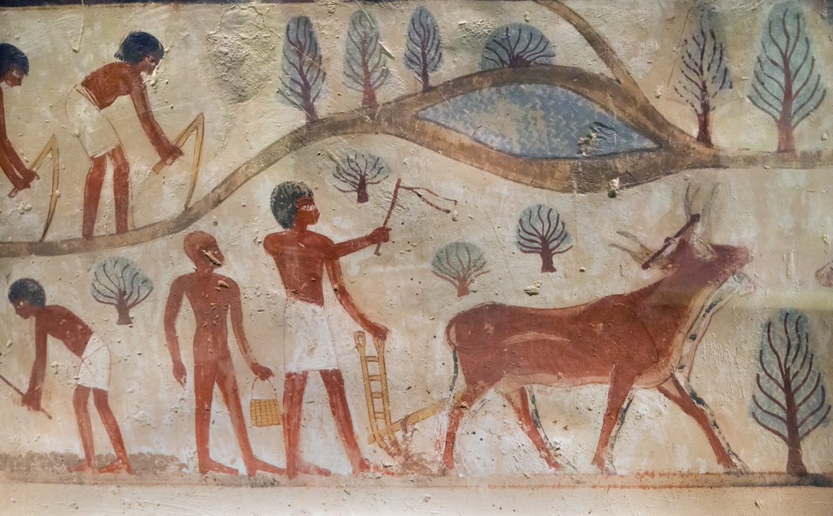 Explore Luxor tweet media