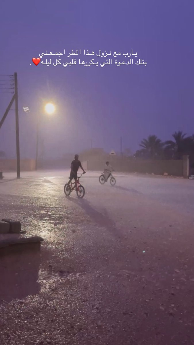 𓆩🫀𓆪 tweet media