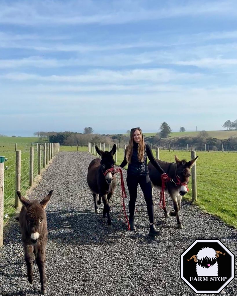 Farm Stop tweet media