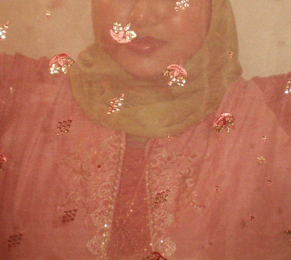 tiramisu tweet media