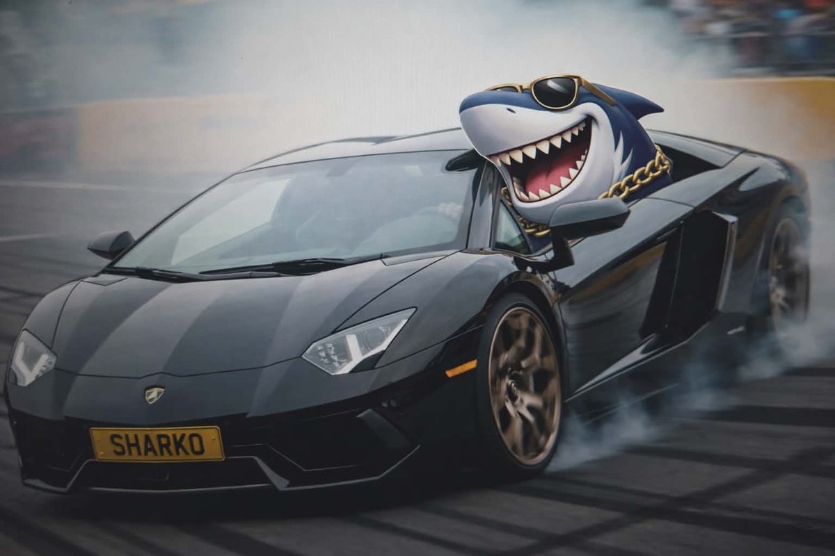 SharkoCoin's tweet photo. @Surge100x @SharkoCoin What do you thing brother?🦈 https://t.co/TkuxJnunTg