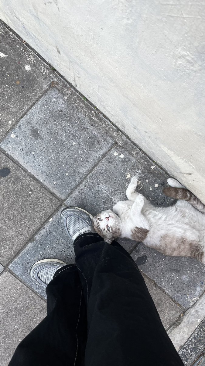 เลิกเป็นอาโปละเป็นไอ้โบ้ดีกว่า🦦 tweet media