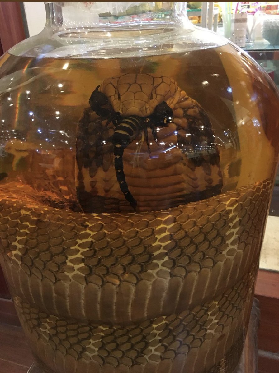 SAXENA 🥀 tweet media