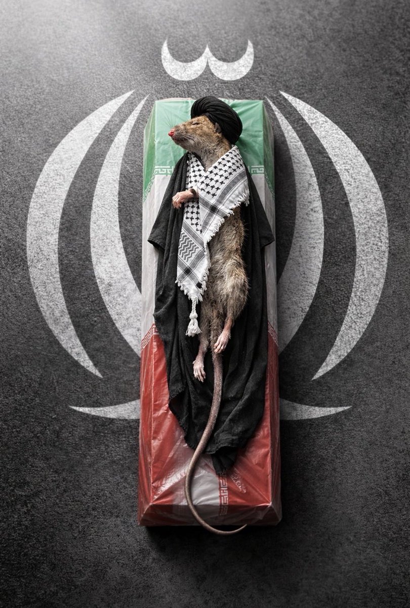 Aramesh BAMDADAN tweet media