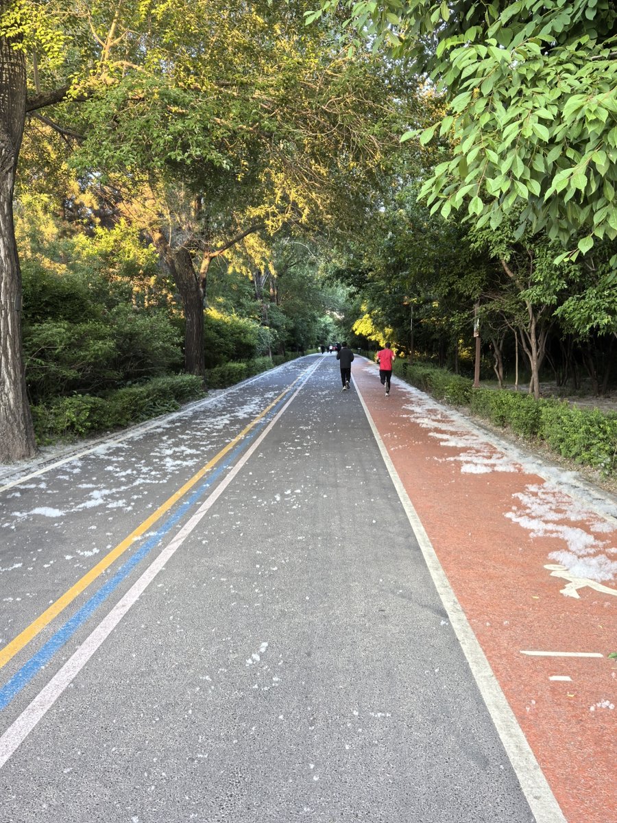 Kyle West tweet media