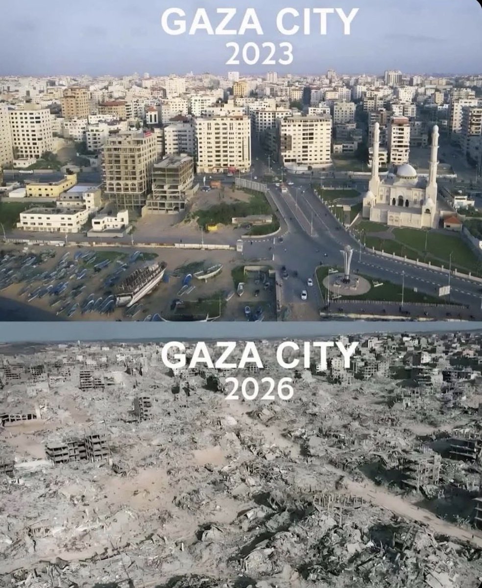 YSCihan's tweet photo. @YosephHaddad https://t.co/qUg0EbZqaA