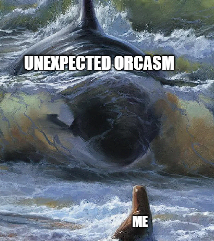 Orcasm tweet media