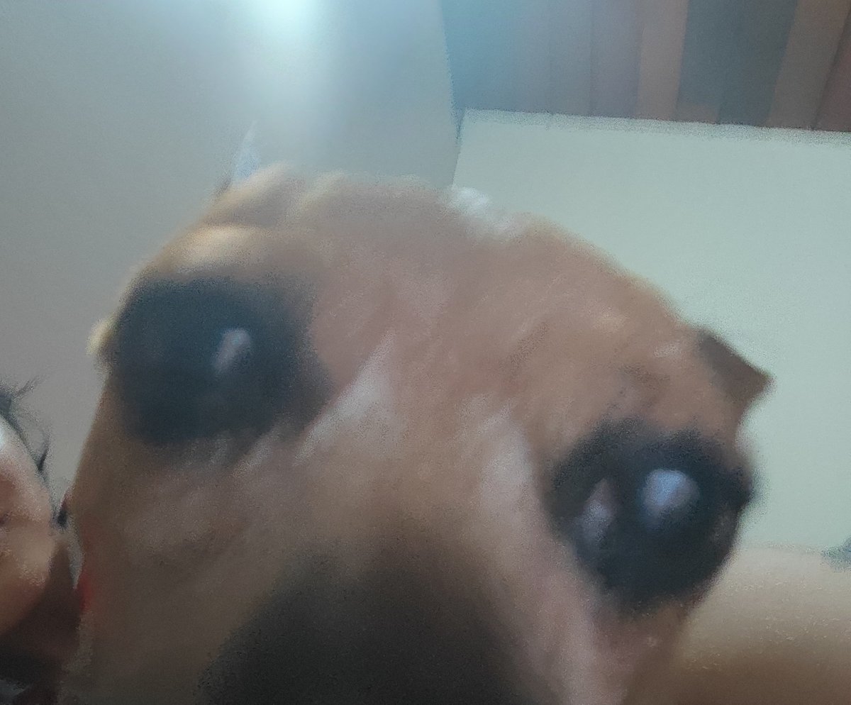 .alienbicha tweet media