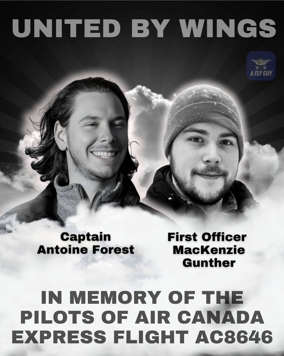 Saint Germain XY🗽 ⚖️ 🕊️ 🌱☘️ अहिंसा ☮️ 🏴‍☠️ tweet media