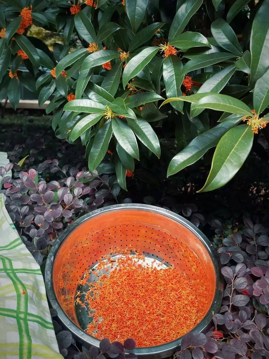 Michael Hanks tweet media