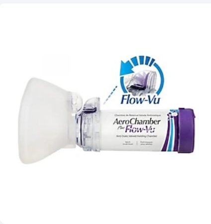 reyhan evci tweet media