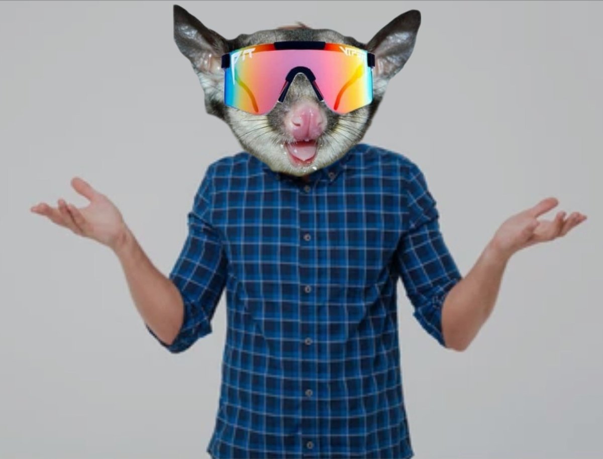 Beefer Sutherland tweet media