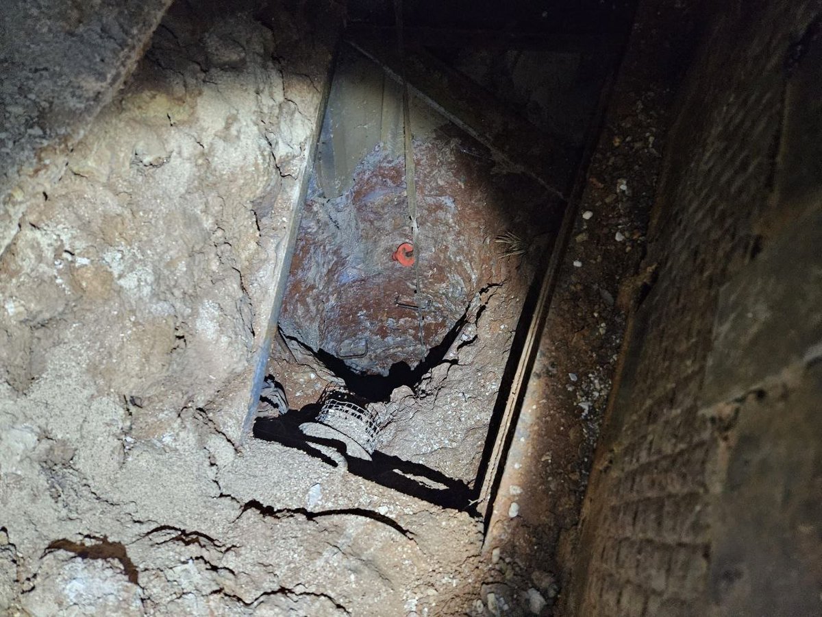 תורת לחימה- זמני tweet media