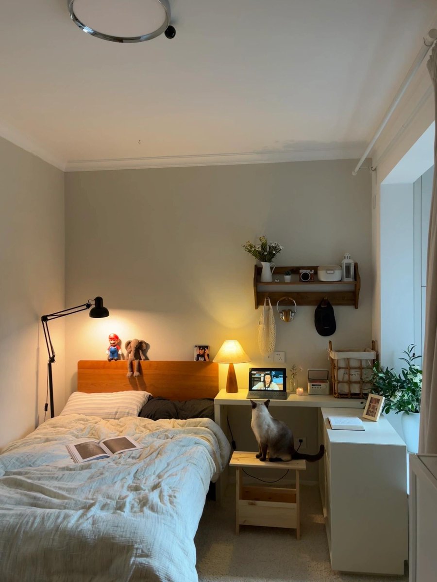 coolbexu tweet media