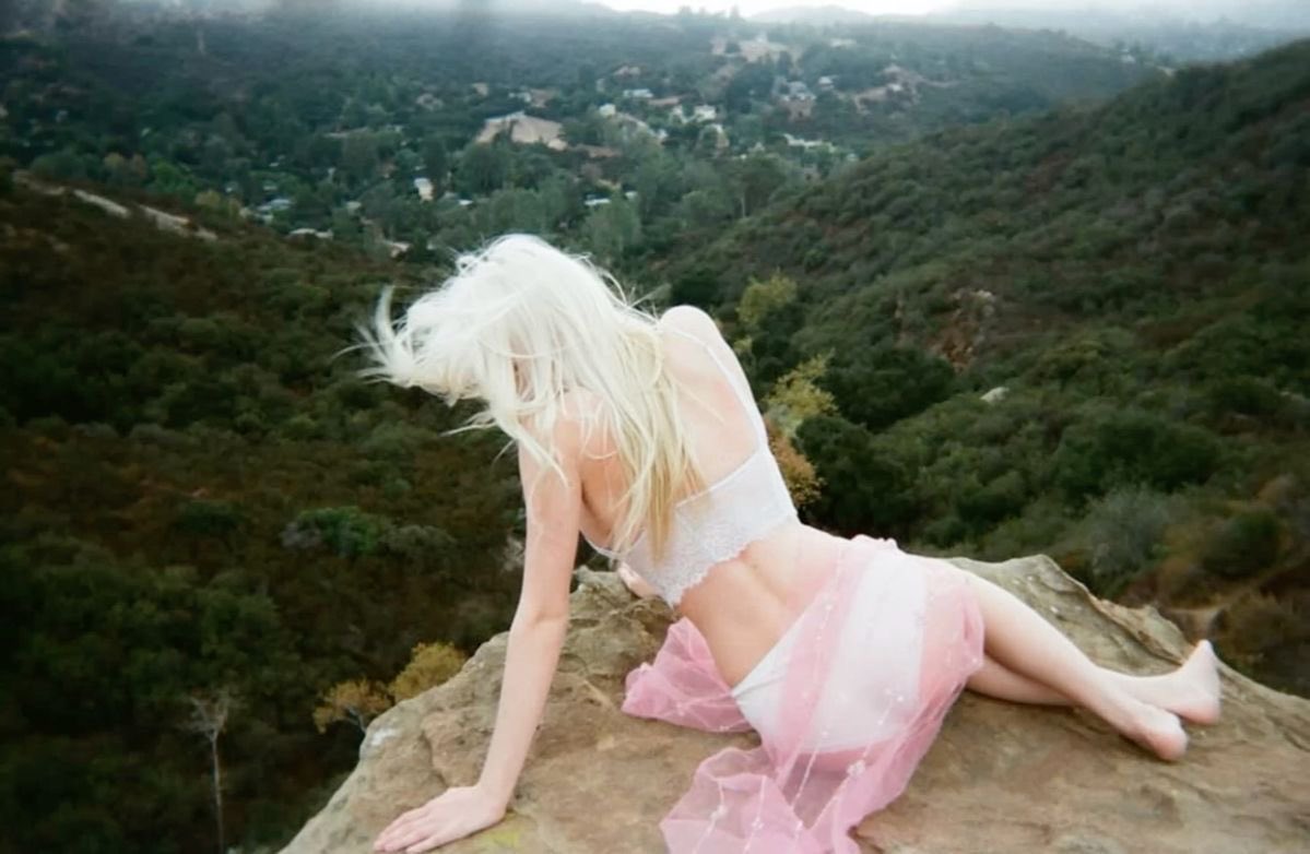 promise 🪽 tweet media