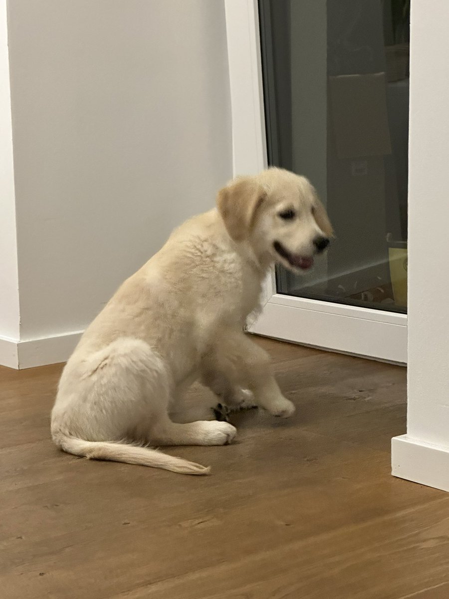 Michelle⬛ tweet media