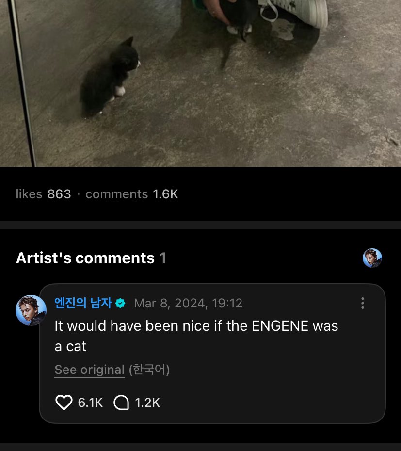 raghdaꫂ᭪݁ tweet media