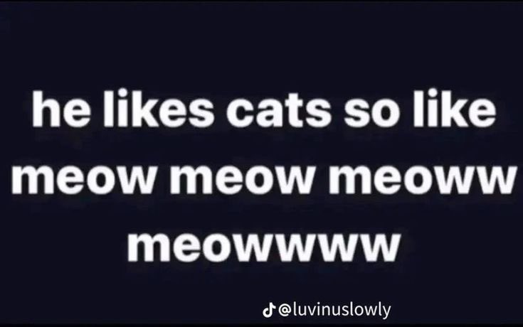 raghdaꫂ᭪݁ tweet media