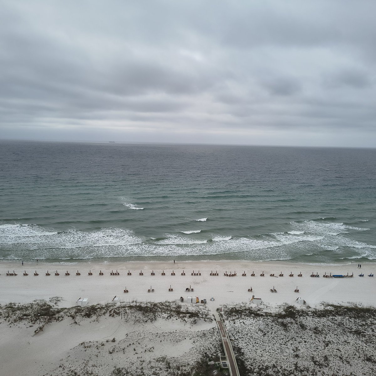 Pineapple Man tweet media