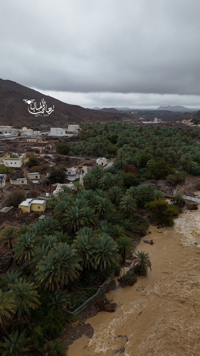 تهاني tweet media