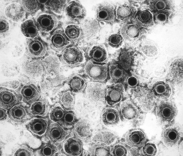 Broad Institute tweet media