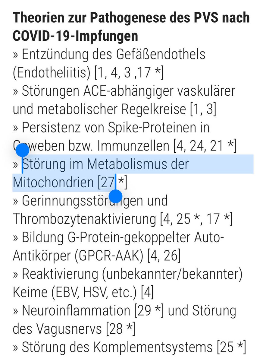 stefanie tweet media