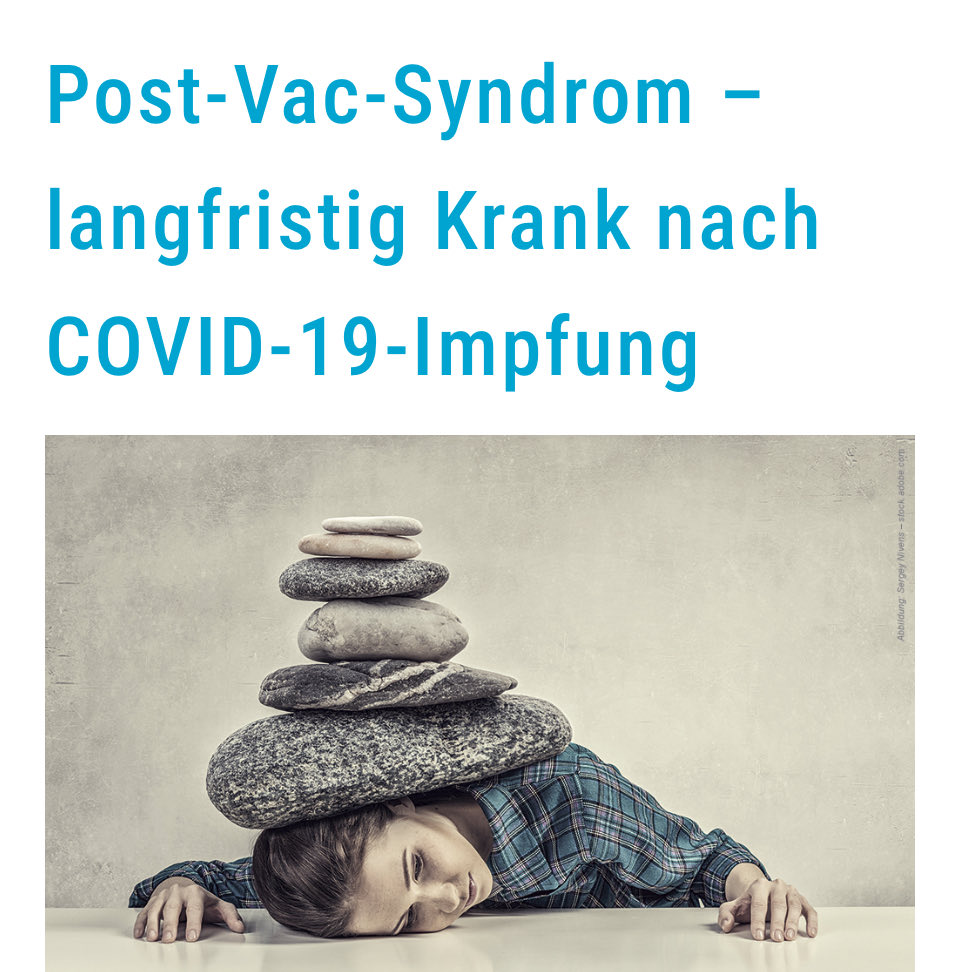 stefanie tweet media